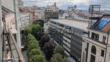 Zmaj Jovina | 4zida.rs