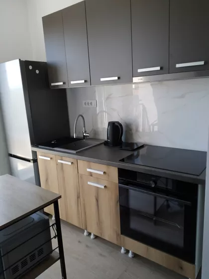 Lajoša Joa 48 | 4zida.rs