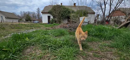 Mileševo | 4zida.rs