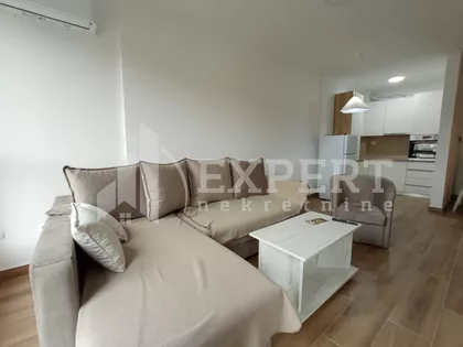 Svetolika Rankovića | 4zida.rs