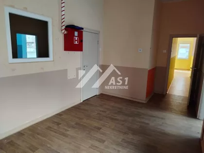 Dr Svetislava Kasapinovića | 4zida.rs