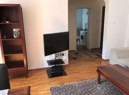Vase Pelagića | 4zida.rs