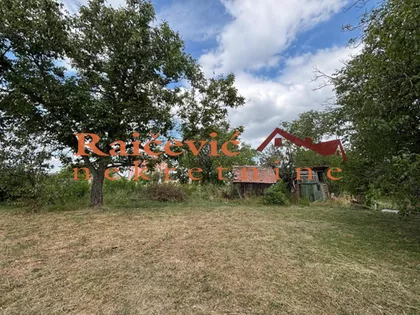 Igora Urosevica | 4zida.rs