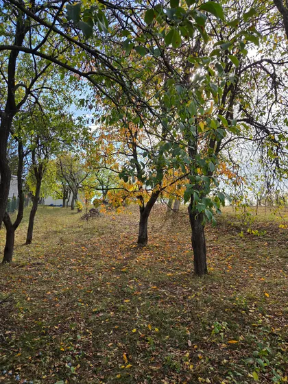 Vrdnik | 4zida.rs