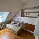 Socijalno, Rotkvarija, Gradske lokacije, Novi Sad | 4zida.rs | 4zida.rs
