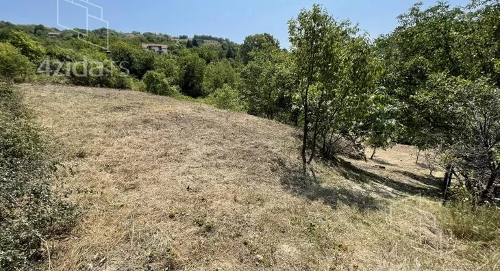 Plac | 4zida