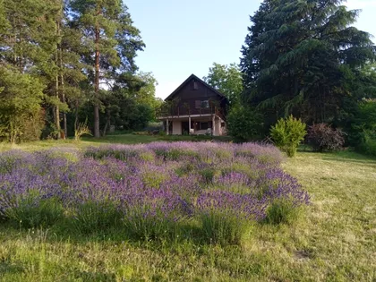 Vinogradarska | 4zida.rs