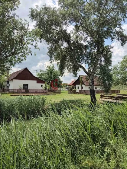 Palić | 4zida.rs