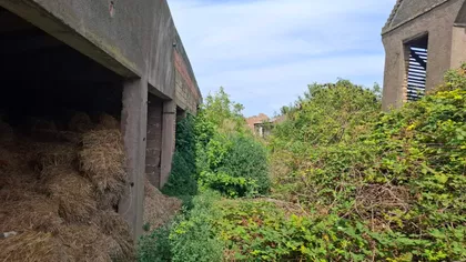 Novi Kozjak | 4zida.rs