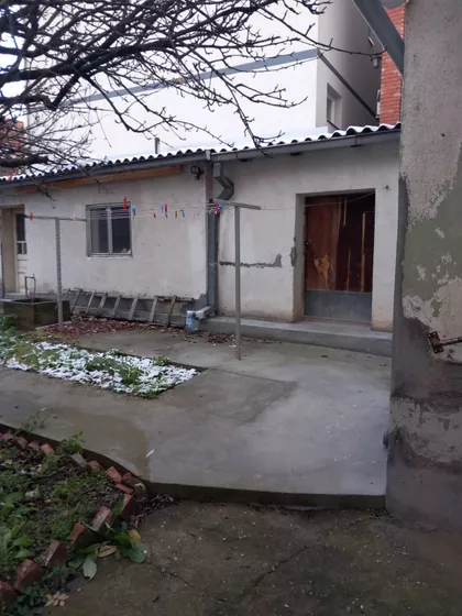 Pasjačka | 4zida.rs