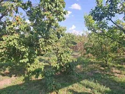 Zrenjanin, Duvanika | 4zida.rs
