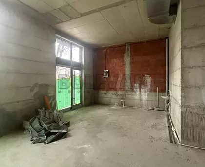 Luja Pastera | 4zida.rs