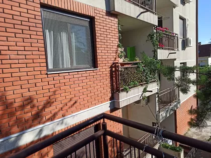 Ulofa Palmea 8b | 4zida.rs