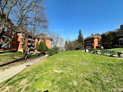 Višnjički Venac | 4zida.rs