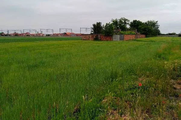 Plac | 4zida