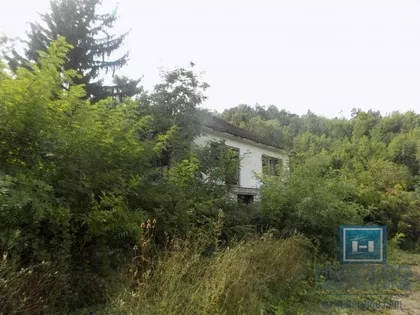Izvor | 4zida.rs