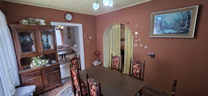 Pačir | 4zida.rs