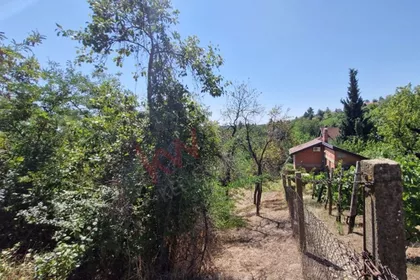 Crveni Breg venac | 4zida.rs
