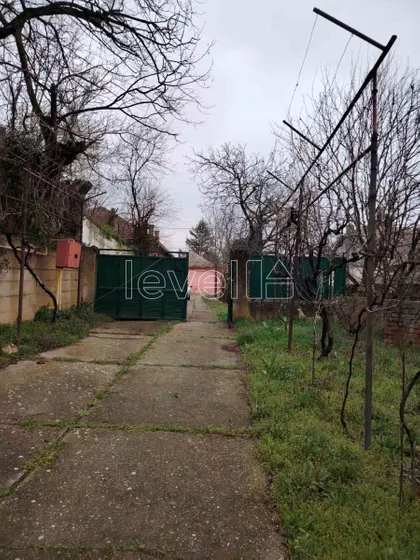 Čerević | 4zida.rs