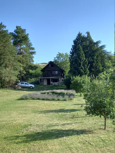 Vinogradarska
