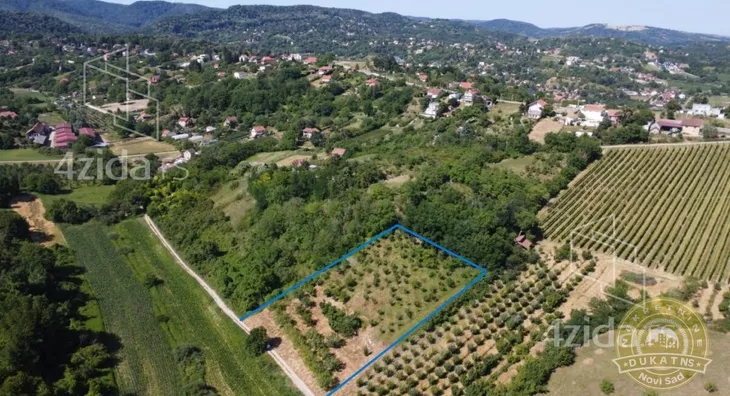 Plac | 4zida