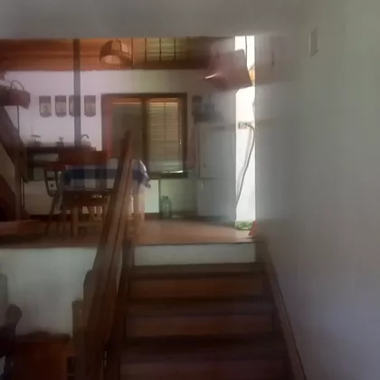 Bački Put | 4zida.rs
