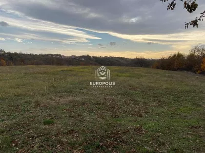 Beogradska | 4zida.rs