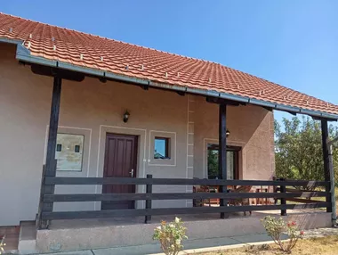 Paje Jovanovića