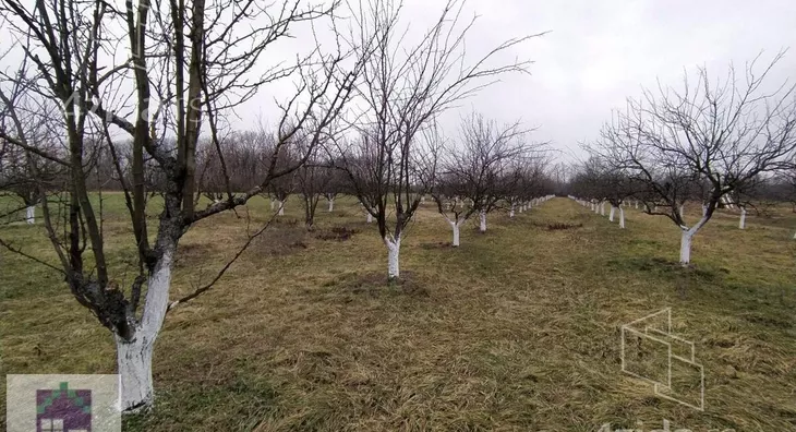 Poljoprivredno zemljište | 4zida