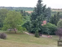 Čerević, Okolne lokacije, Beočin | 4zida.rs