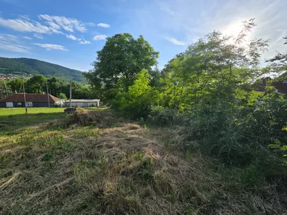 Slobodana Danka Popovića | 4zida.rs