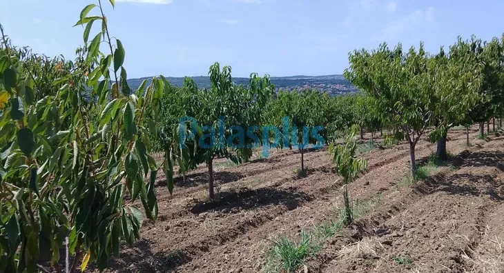 Poljoprivredno zemljište | 4zida