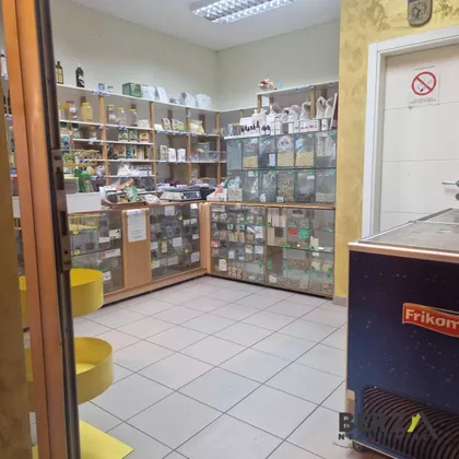 Bulevar Oslobođenja | 4zida.rs