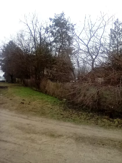 Gornji Tavankut | 4zida.rs