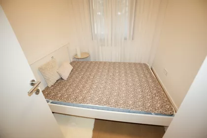 Lekino Brdo | 4zida.rs