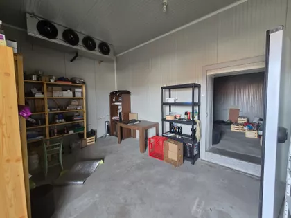 Blaznava  | 4zida.rs