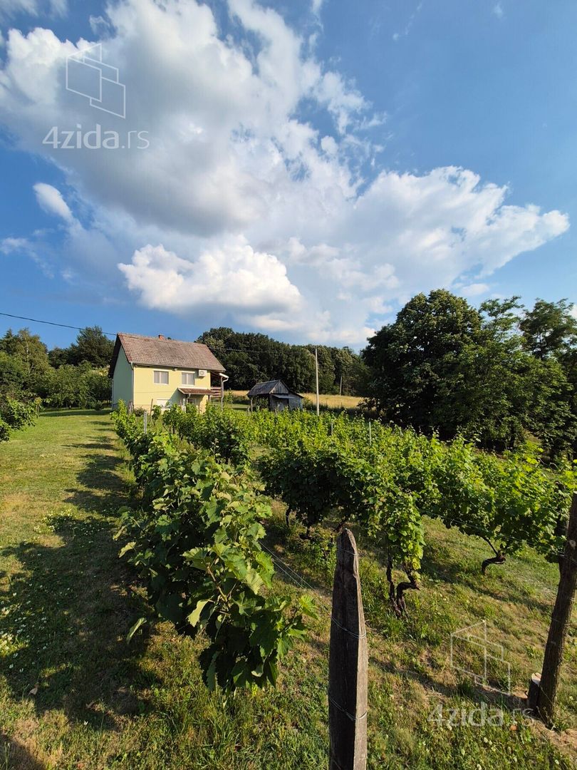 House in Kulinovci, Moravički upravni okrug - Prikaz 4