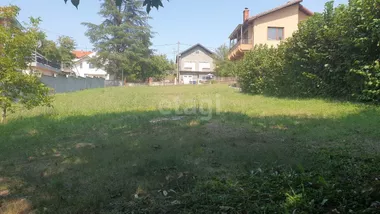 Ilije Vukićevića