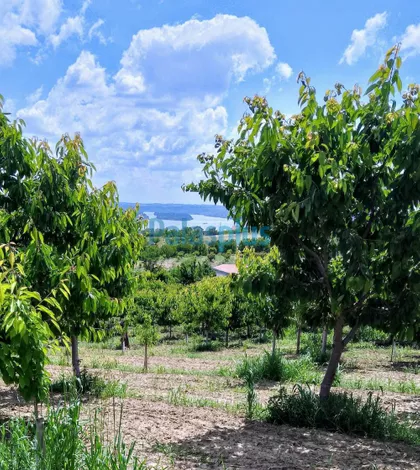 Ritopečka | 4zida.rs