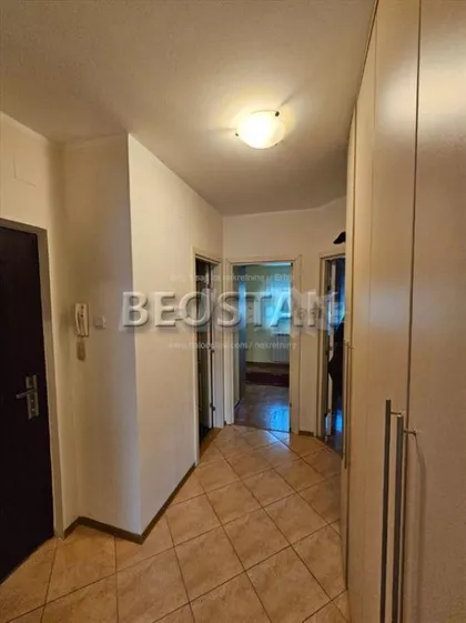 Dragana Rakica | 4zida.rs