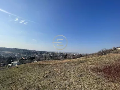 Sremska Kamenica | 4zida.rs