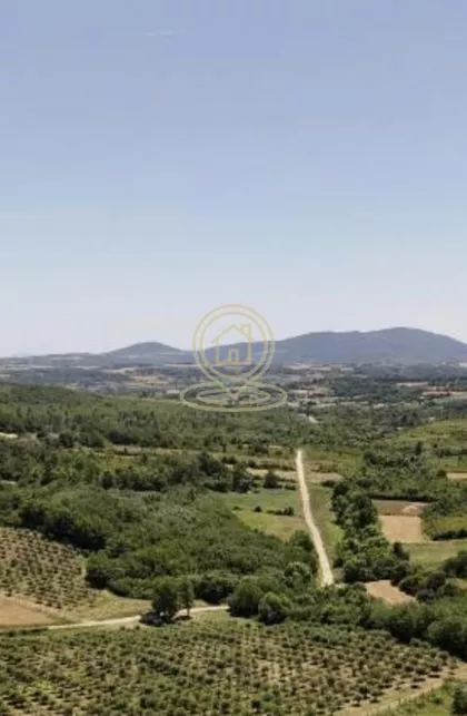 Mali Požarevac | 4zida.rs