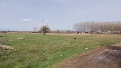 Žikice Jovanovića Španca | 4zida.rs