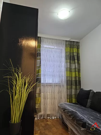 Salajka | 4zida.rs