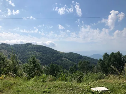 Stefana Prvovenčanog Bb | 4zida.rs