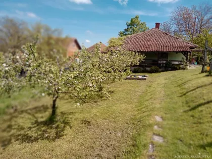 Gornje Jarušice | 4zida.rs