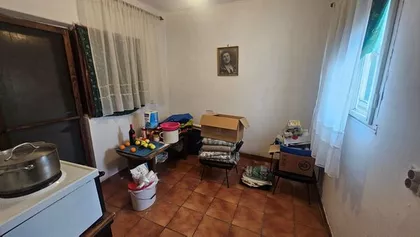 Zrenjanin, Šumica | 4zida.rs