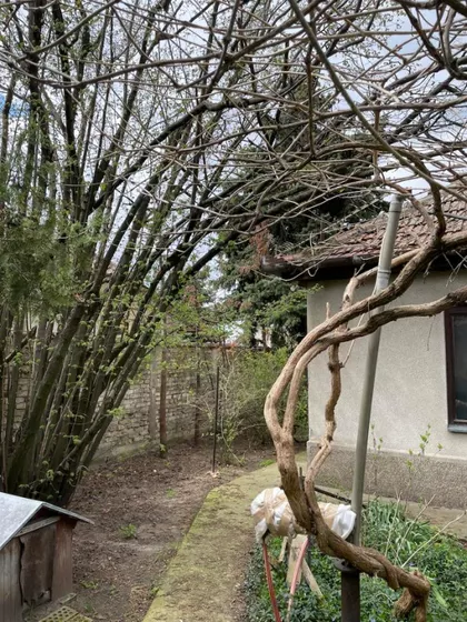 Željezničko Naselje | 4zida.rs