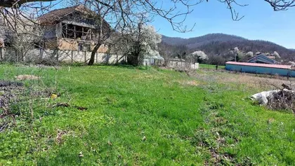 Dobro Polje | 4zida.rs