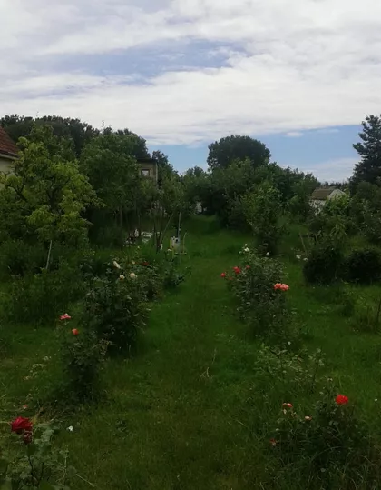 Vinogradarska 218 | 4zida.rs
